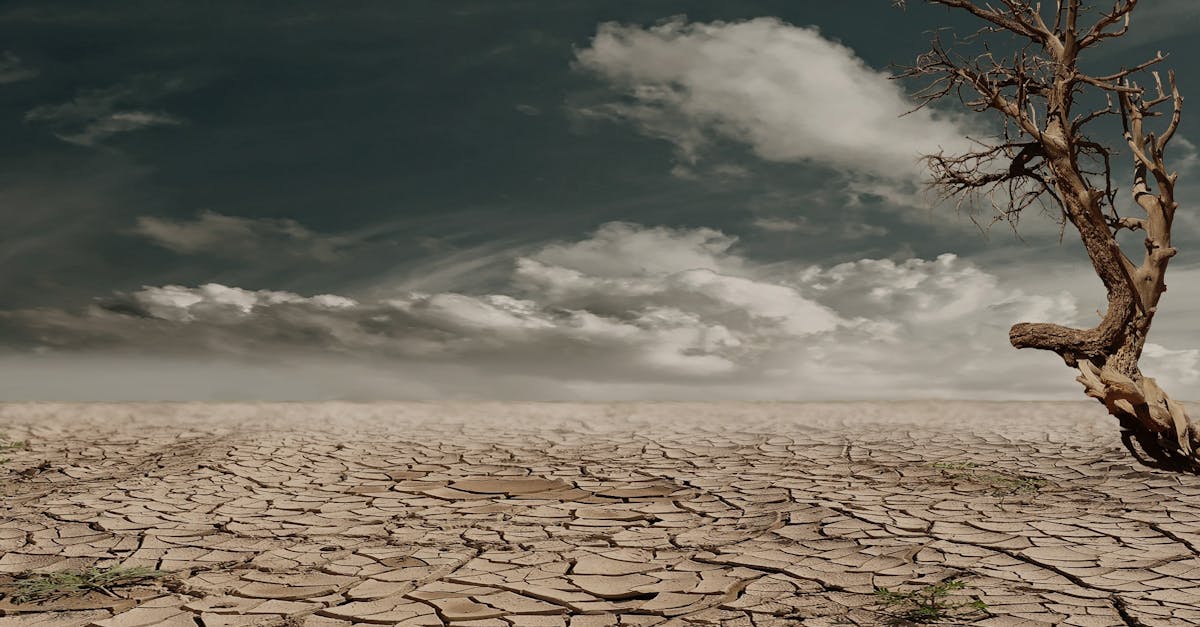 Changement climatique : les citoyens déchirés entre urgence et indifférence