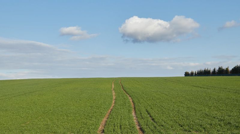 découvrez comment la diplomatie climatique façonne les relations internationales et lutte contre le changement climatique, en unissant les nations autour d'objectifs environnementaux communs pour un avenir durable.