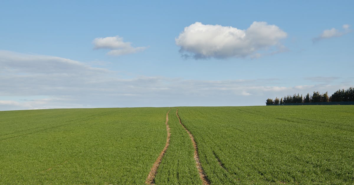 découvrez comment la diplomatie climatique façonne les relations internationales et lutte contre le changement climatique, en unissant les nations autour d'objectifs environnementaux communs pour un avenir durable.