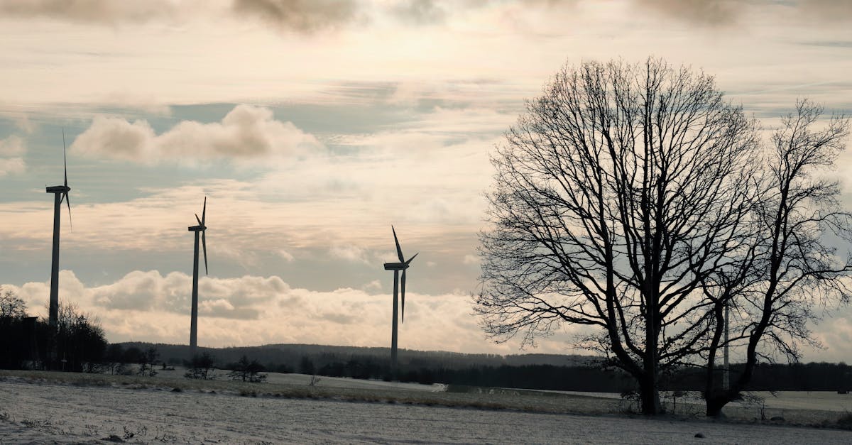 découvrez le concept de 'climate whiplash', un phénomène climatique qui provoque des variations extrêmes de température et de conditions météorologiques. apprenez comment il impacte notre environnement, l'agriculture et la santé, et explorez les solutions pour s'adapter à ces changements soudains.