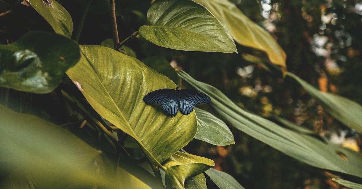 Expo Innov’Climat 2024 : Un espace d’innovations pour propulser la transition écologique