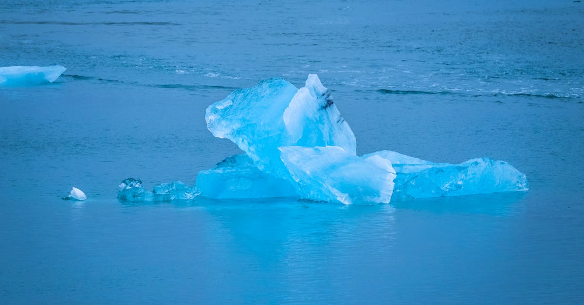 Impact de la crise climatique sur la maternité : entre avortements et naissances prématurées, un constat alarmant des politiques environnementales