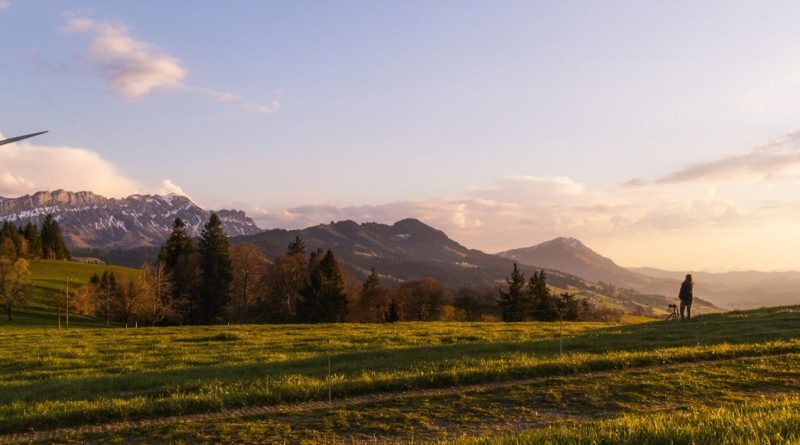 découvrez l'importance de la protection de l'environnement, des actions concrètes à adopter pour préserver notre planète et les enjeux écologiques actuels. engagez-vous pour un avenir durable dès aujourd'hui.