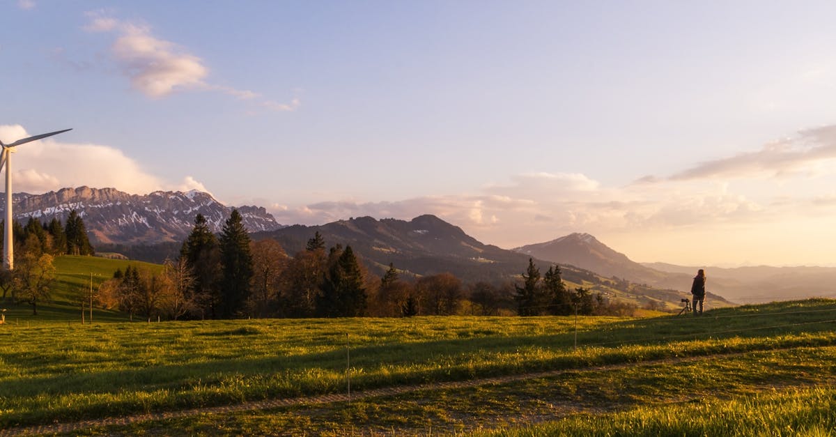 La protection de l’environnement : enjeux et solutions