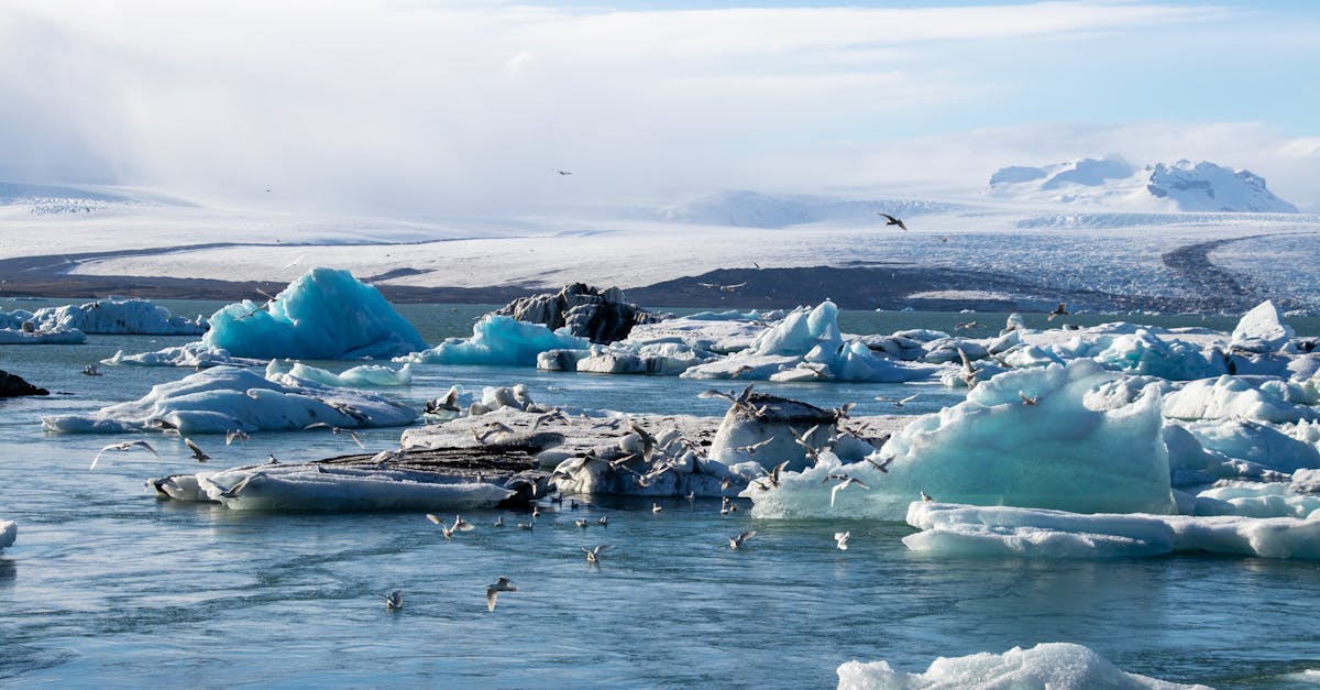 La sensibilisation climatique à l’ère du numérique