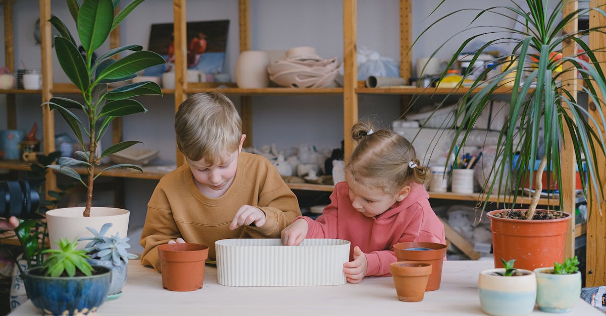 L’éducation à l’environnement : un levier pour le changement