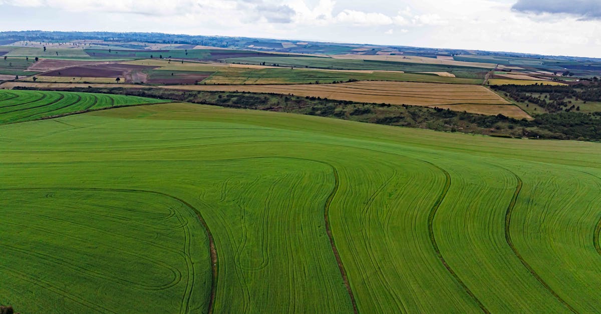 Les accords internationaux sur le climat et les innovations