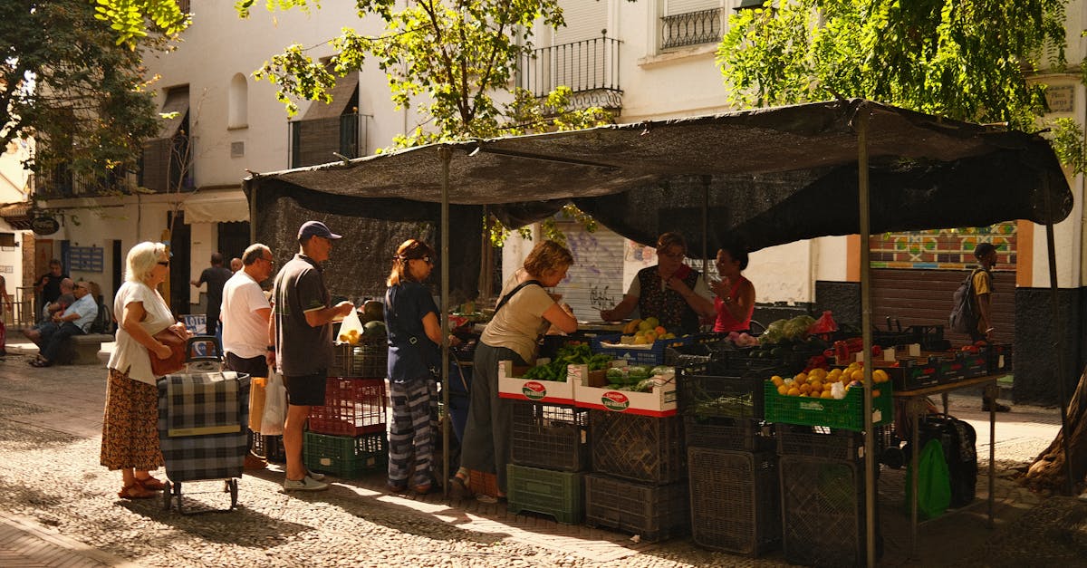 découvrez comment les quartiers durables transforment nos villes en espaces écologiques, innovants et communautaires. explorez les initiatives, les aménagements et les pratiques qui favorisent un mode de vie respectueux de l'environnement et socialement responsable.