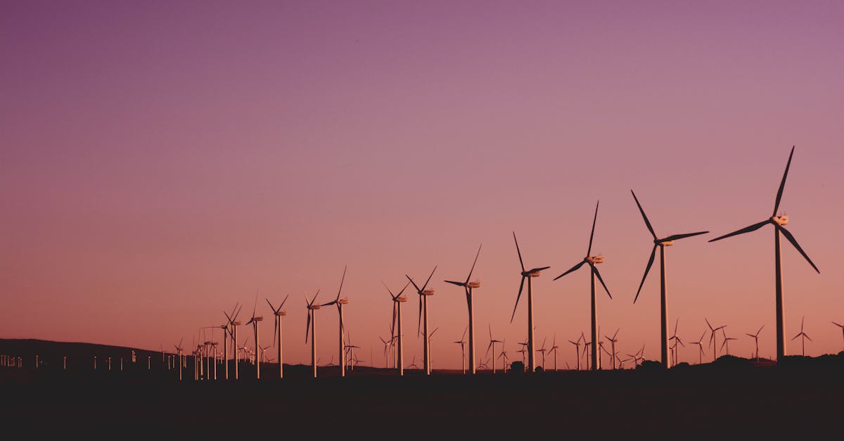 Les énergies renouvelables pour un avenir durable