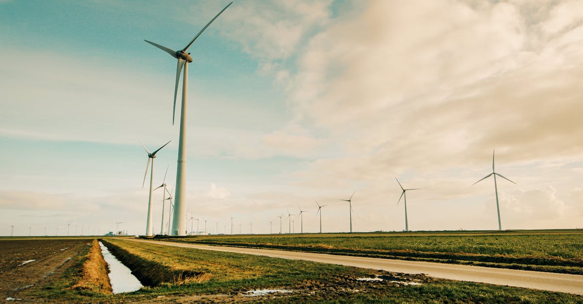 découvrez les infrastructures vertes, une approche innovante pour intégrer la nature dans notre urbanisme. apprenez comment elles contribuent à la durabilité, à l'amélioration de la qualité de l'air et à la gestion des eaux pluviales tout en créant des espaces de vie agréables.