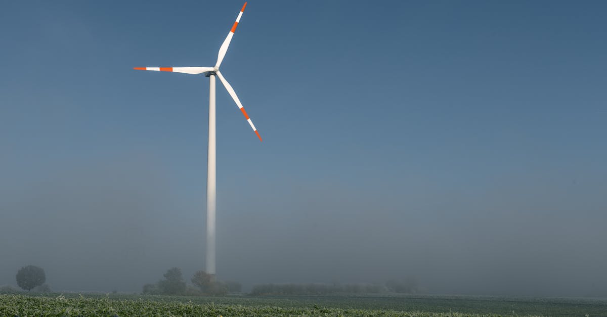 découvrez les enjeux et les stratégies de la politique climatique, qui vise à lutter contre le changement climatique et à promouvoir un avenir durable. informez-vous sur les actions des gouvernements, les initiatives internationales et l'impact sur notre environnement.