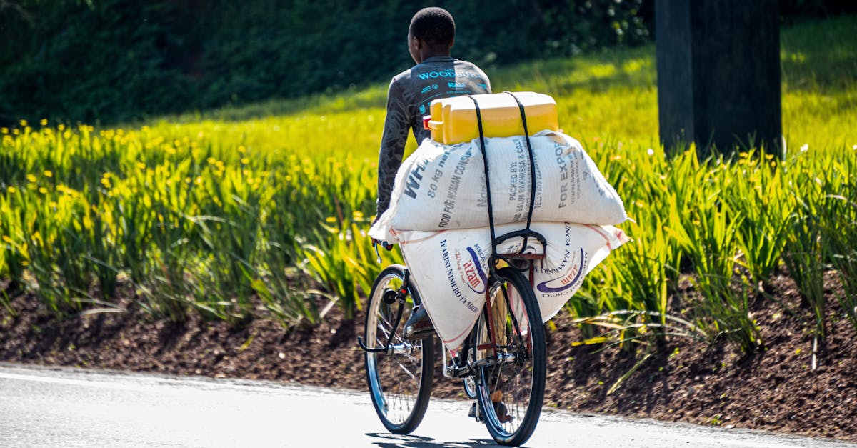 découvrez les enjeux et les solutions du transport durable : alternatives écologiques, innovations technologiques et pratiques responsables pour réduire l'empreinte carbone et préserver notre planète.