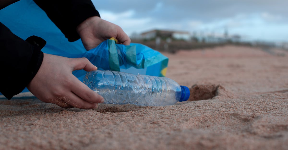 découvrez les enjeux climatiques majeurs de notre époque, les impacts du changement climatique sur notre planète et les solutions pour un avenir durable. informez-vous sur les actions à entreprendre pour préserver notre environnement.