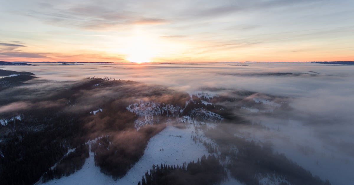 découvrez les enjeux climatiques actuels, les impacts du changement climatique sur notre planète et les actions nécessaires pour préserver notre environnement. informez-vous sur les initiatives durables et les solutions pour un avenir respectueux du climat.