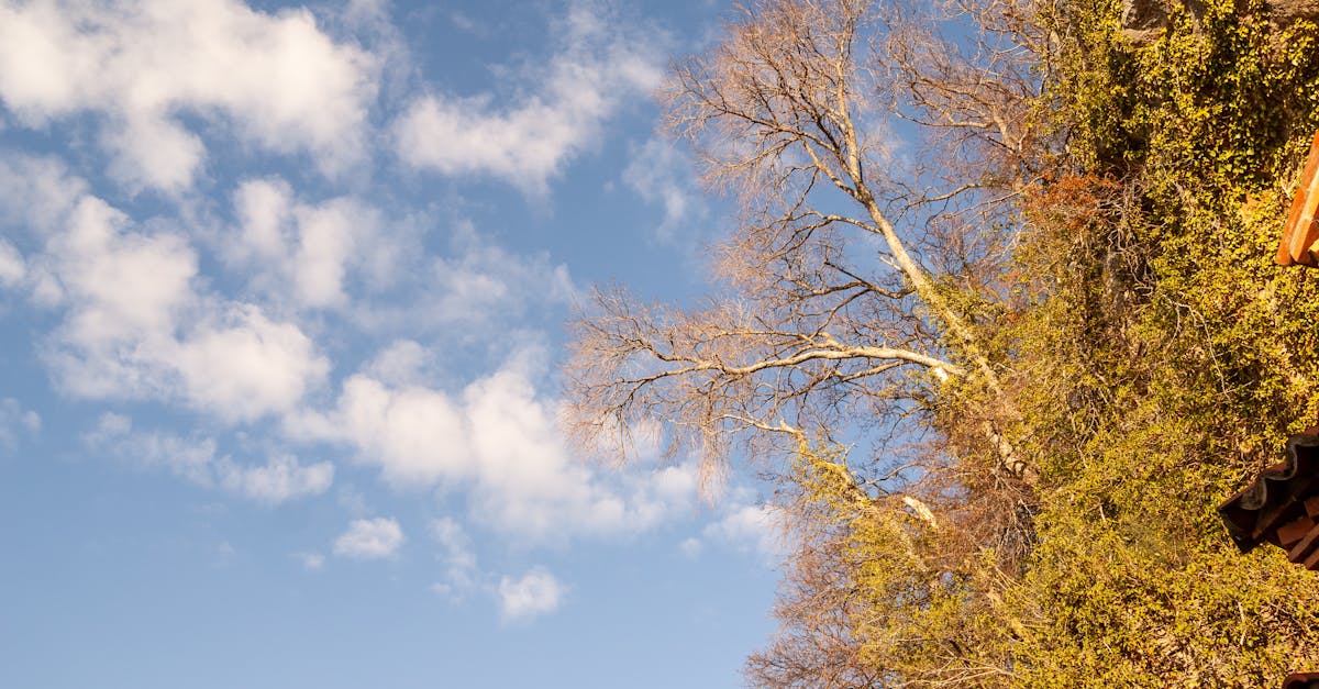 rejoignez climate academy et explorez des solutions innovantes pour lutter contre le changement climatique. formez-vous aux enjeux environnementaux et contribuez à un avenir durable grâce à nos cours spécialisés et ressources pédagogiques.