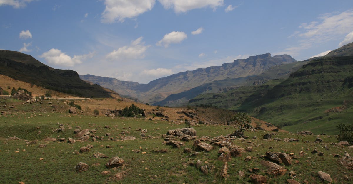 découvrez les engagements climatiques : explorez les initiatives, les accords et les actions nécessaires pour lutter contre le changement climatique et promouvoir un avenir durable.