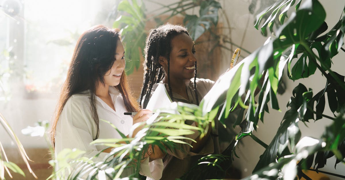 découvrez comment l'éducation climatique joue un rôle essentiel dans la sensibilisation et l'engagement face aux enjeux environnementaux. apprenez des stratégies innovantes pour intégrer la durabilité dans les programmes éducatifs et inspirez les futures générations à agir pour notre planète.