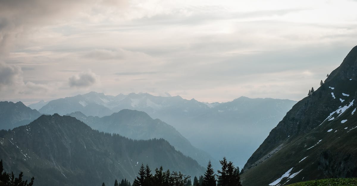 découvrez l'importance des graphiques climatiques dans l'analyse des tendances environnementales. explorez des données précises sur les variations climatiques, les températures et les précipitations pour mieux comprendre les enjeux écologiques actuels.