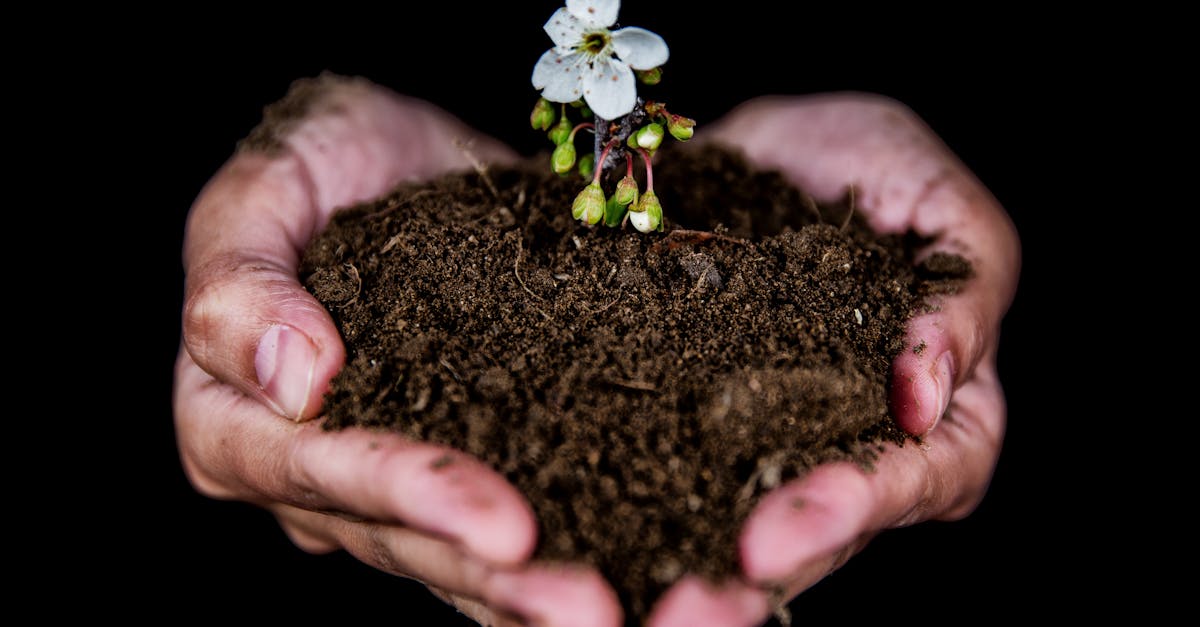 découvrez comment la santé du climat influence notre bien-être et nos écosystèmes. explorez des solutions durables pour préserver notre planète et améliorer notre qualité de vie.