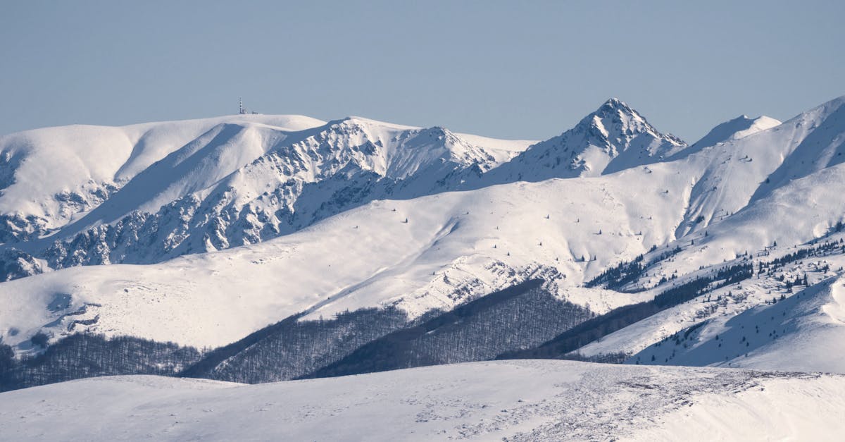 découvrez les enjeux et les stratégies des politiques climatiques à travers le monde. explorez comment les gouvernements et organisations s'engagent à lutter contre le changement climatique, promouvoir la durabilité et protéger notre planète. informez-vous sur les dernières initiatives et trouvez des solutions pour un avenir écologique.