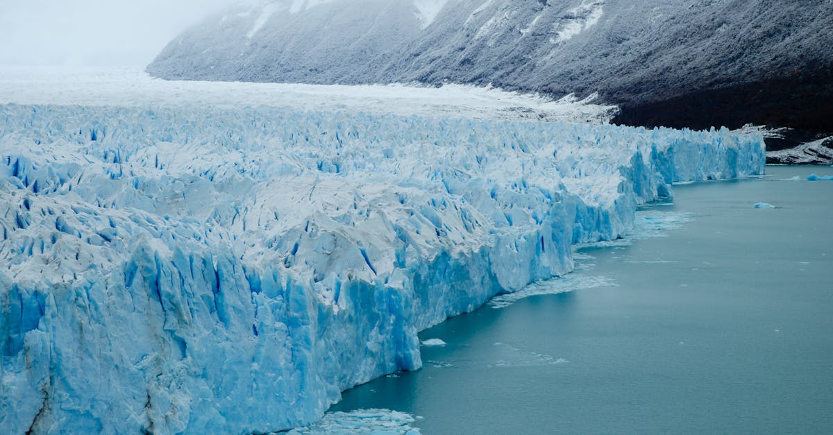 découvrez les enjeux du scepticisme climatique, ses origines et ses impacts sur les politiques environnementales. une analyse essentielle pour comprendre les débats autour du changement climatique.