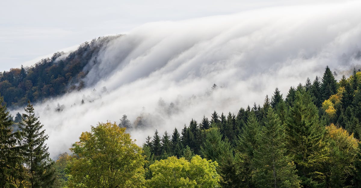 découvrez les fondements de la climatologie, l'étude des climats et des variations climatiques à travers le temps. plongez dans les enjeux environnementaux actuels et apprenez comment les changements climatiques impactent notre planète et nos vies.