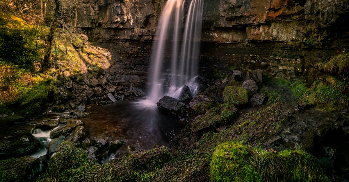 découvrez l'importance des corridors écologiques pour préserver la biodiversité et favoriser les déplacements des espèces à travers les paysages. apprenez comment ces zones de transition jouent un rôle clé dans la sauvegarde de notre environnement.