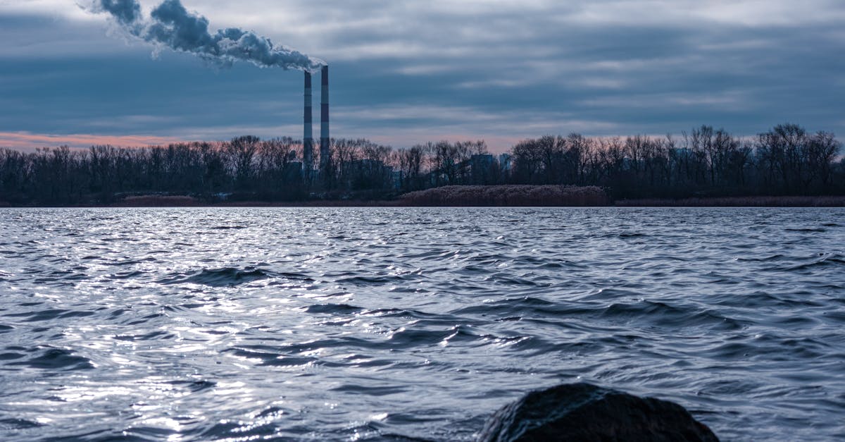 découvrez les enjeux environnementaux majeurs qui impactent notre planète et apprenez comment agir pour un avenir durable. explorez les défis liés au changement climatique, à la pollution et à la préservation de la biodiversité.