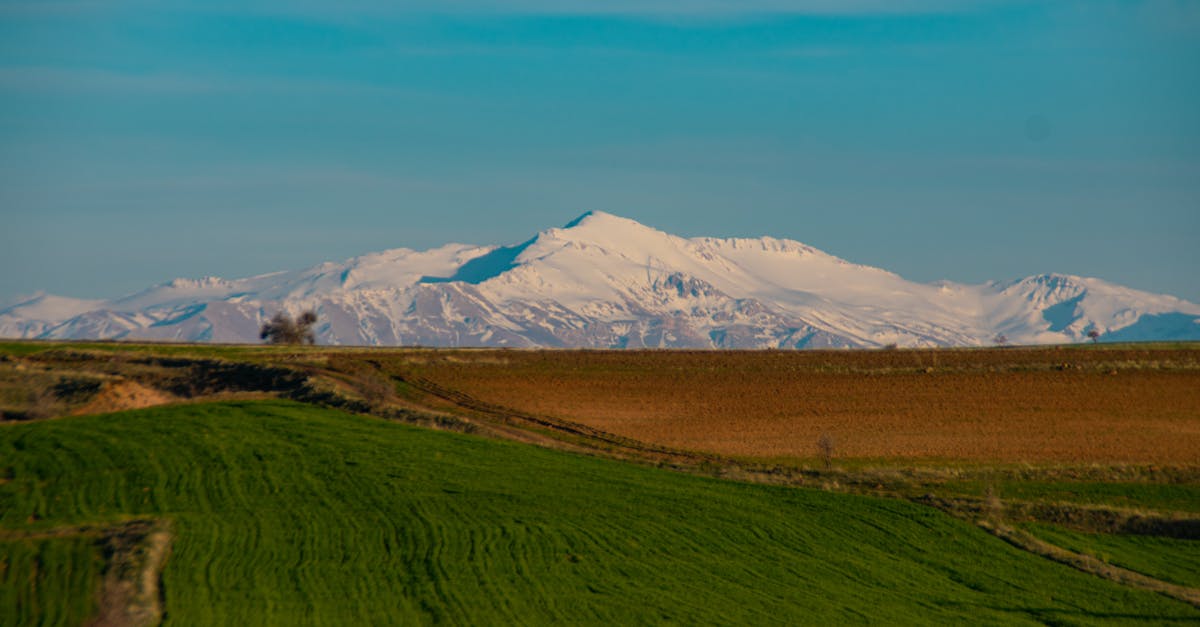 découvrez les politiques environnementales essentielles qui façonnent notre avenir. explorez les initiatives pour la protection de l'environnement, la durabilité et les efforts globaux visant à réduire l'impact écologique. informez-vous sur les mesures prises par les gouvernements et les organisations pour protéger notre planète.