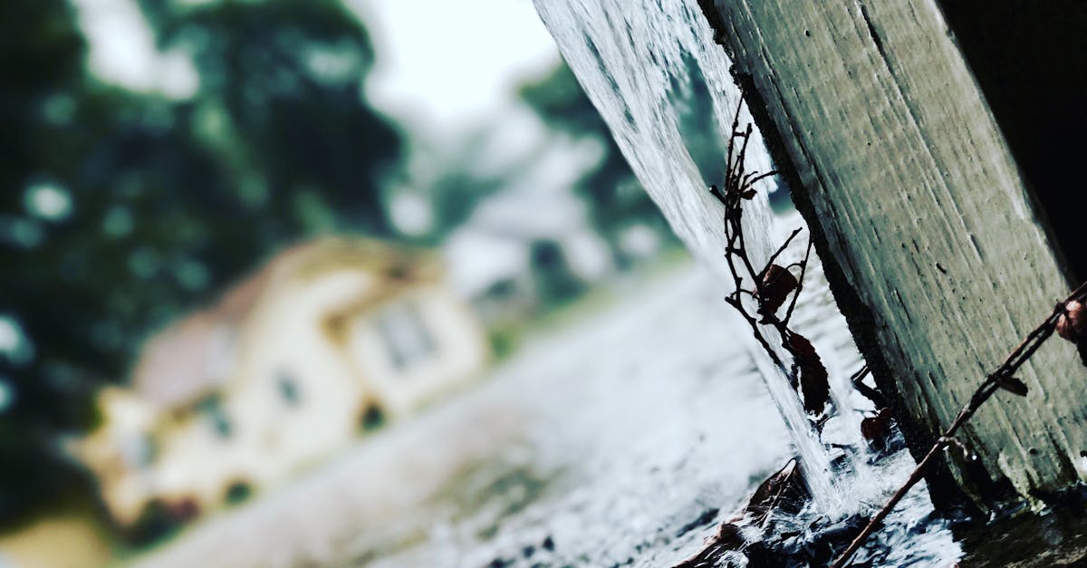 découvrez l'impact dévastateur des inondations sur l'environnement et les communautés. informez-vous sur les causes, les conséquences et les mesures de prévention pour faire face à ce phénomène naturel.