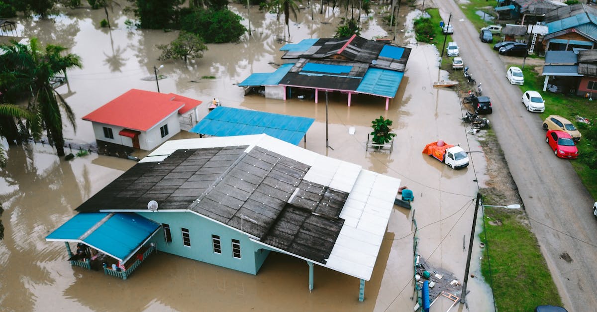 découvrez les causes et les conséquences des inondations, ainsi que les moyens de prévention et d'adaptation face à ce phénomène naturel de plus en plus fréquent.