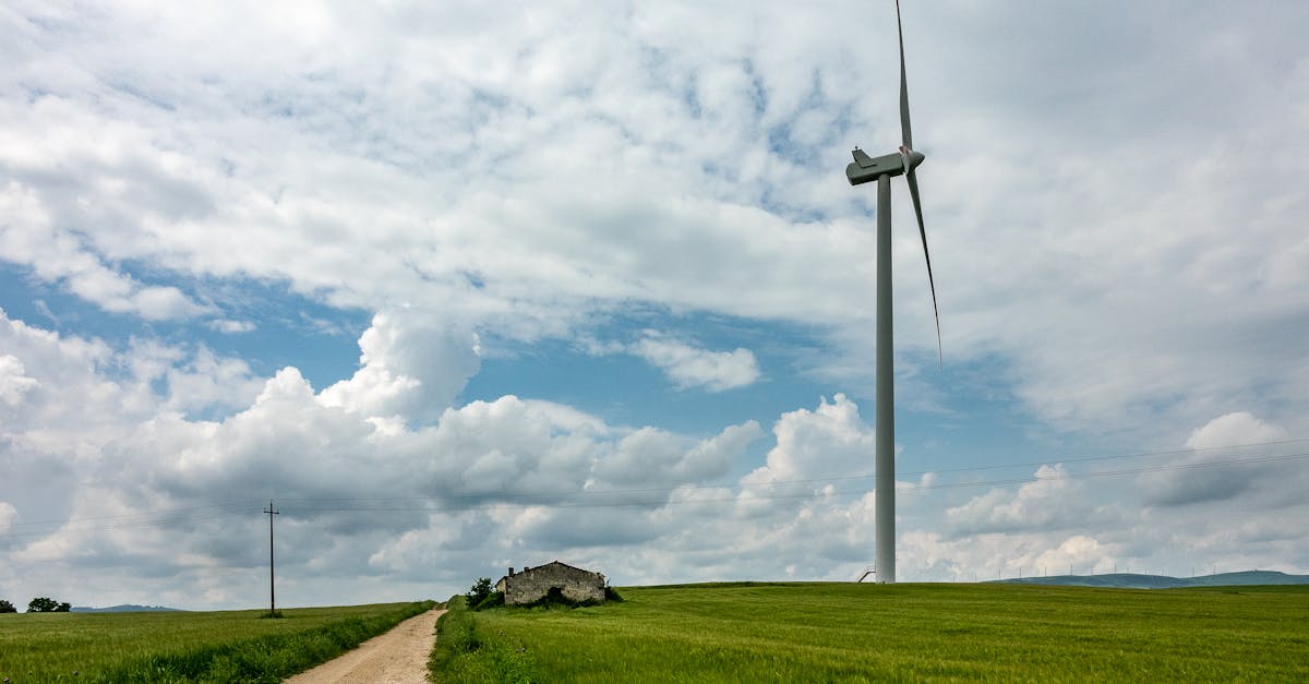 découvrez l'économie verte, un modèle durable qui promeut la croissance économique tout en préservant l'environnement. apprenez comment cette approche innovante favorise les énergies renouvelables, réduit les déchets et soutient une consommation responsable pour un avenir plus sain.