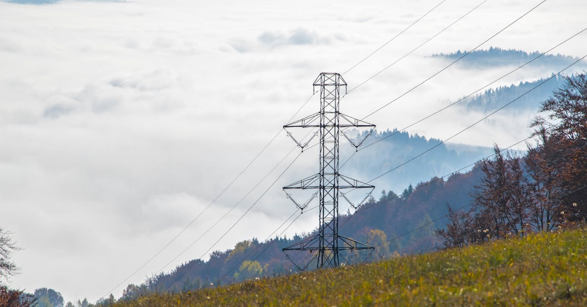 découvrez l'importance des infrastructures vertes pour un développement durable. explorez comment ces solutions écologiques favorisent la biodiversité, améliorent la qualité de l'air et gèrent les eaux pluviales efficacement tout en embellissant nos villes.