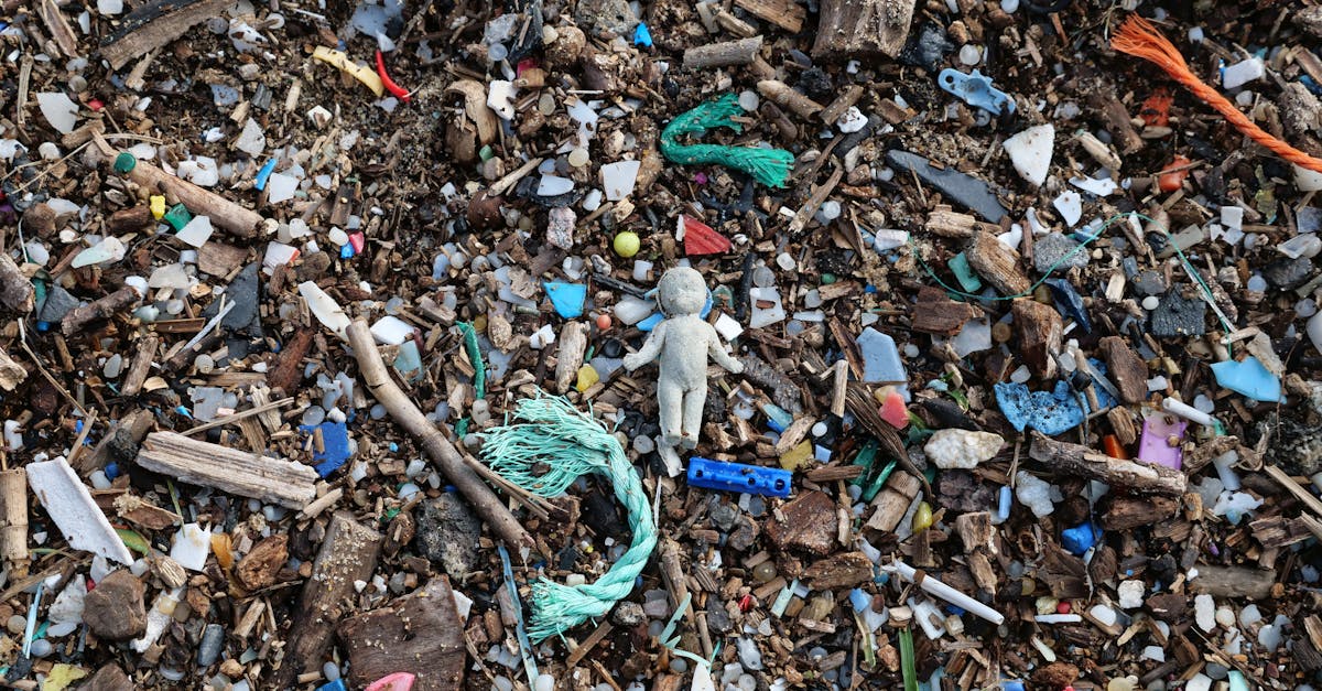 découvrez tout ce que vous devez savoir sur les microplastiques : leur origine, leur impact environnemental et les solutions pour réduire leur présence dans notre quotidien. informez-vous sur cette problématique croissante qui menace notre santé et notre planète.