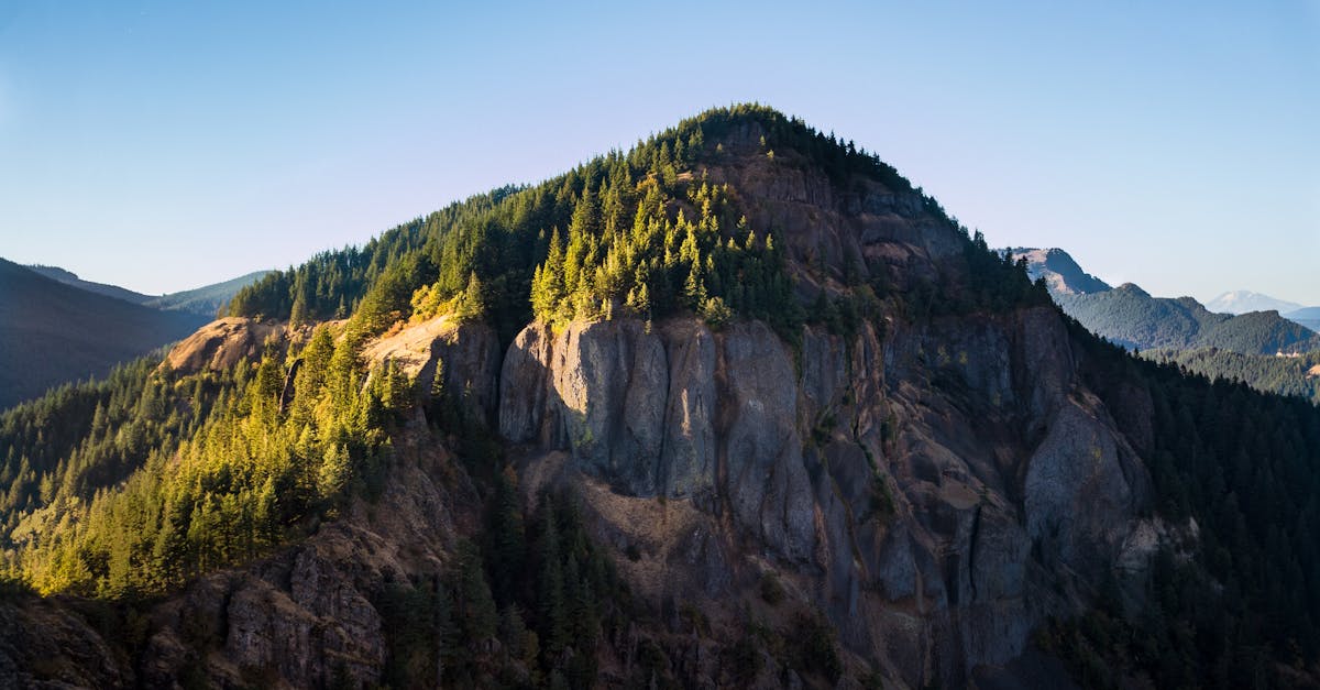 découvrez la beauté envoûtante des forêts de montagne, un écosystème riche où la nature s'épanouit. émerveillez-vous devant des paysages majestueux, une faune diversifiée et des sentiers de randonnée qui vous plongeront au cœur de paysages sauvages et préservés.