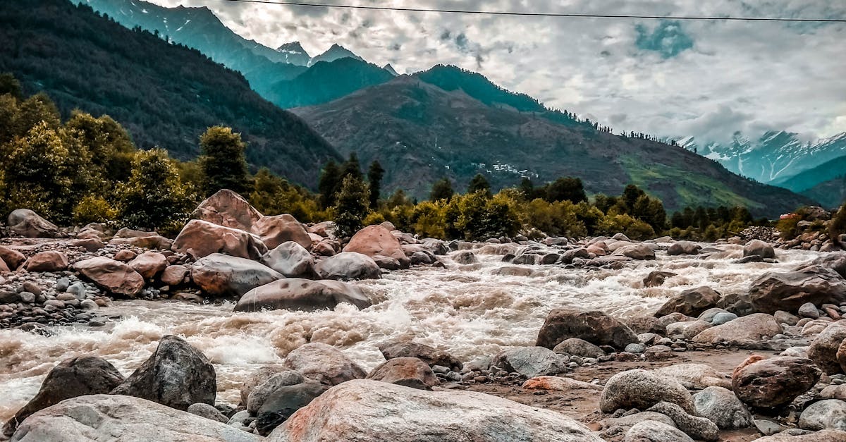 découvrez les forêts de montagne, un écosystème unique où la biodiversité s'épanouit dans des paysages époustouflants. explorez leurs secrets, la faune incroyable qui y réside et les activités de randonnée qui vous attendent.