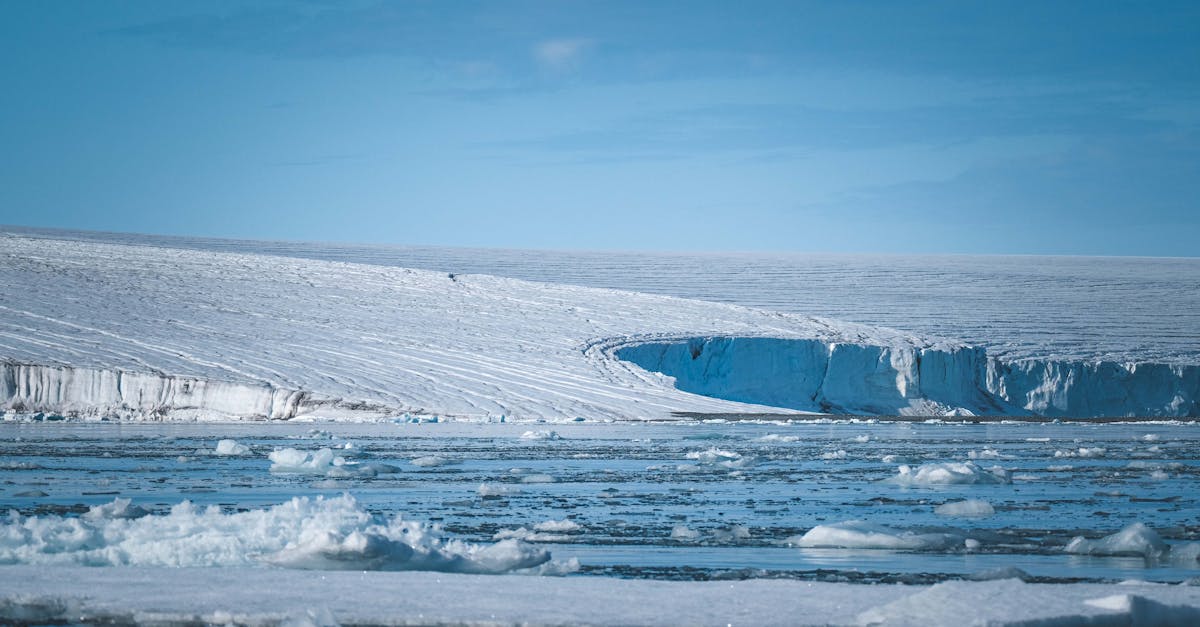 découvrez les impacts du réchauffement des océans sur l'environnement marin et les conséquences sur notre climat global. explorez les enjeux liés à cette problématique cruciale et les actions à entreprendre pour préserver nos mers et océans.