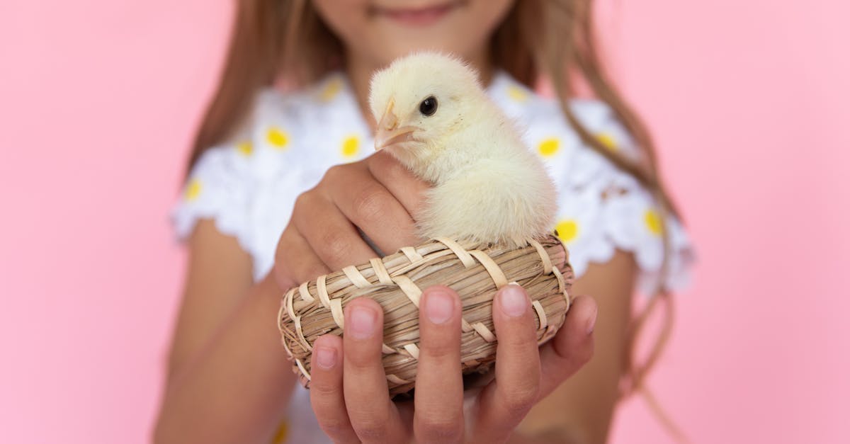 découvrez l'impact des petites attentions dans notre quotidien. les petites gestes, bien que souvent sous-estimés, peuvent transformer des relations et apporter une touche de chaleur et de bienveillance. apprenez comment chaque petit acte compte.