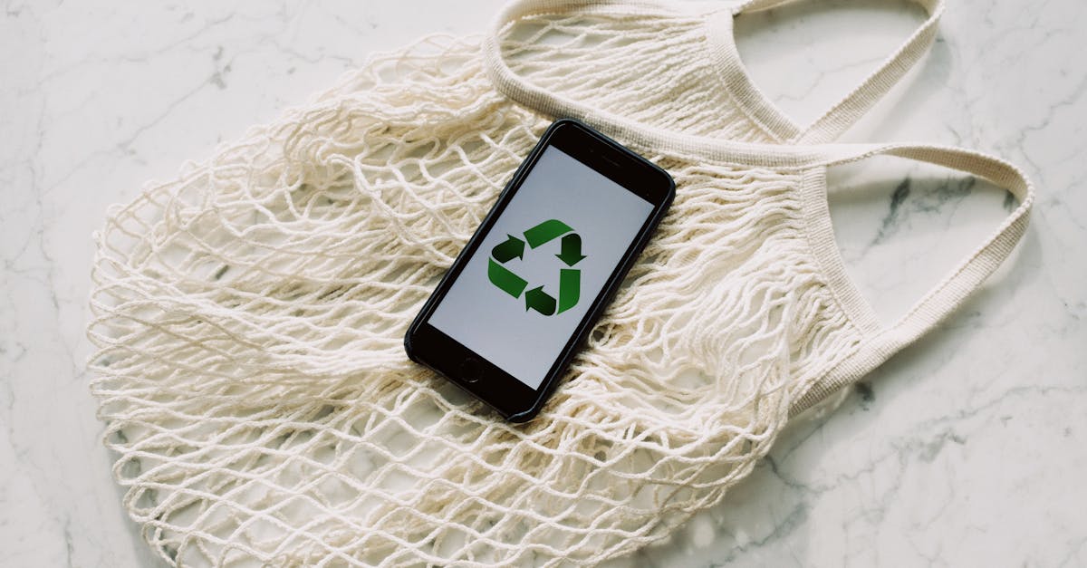 découvrez des conseils pratiques et des astuces pour adopter un mode de vie durable. apprenez à réduire votre empreinte écologique, à consommer de manière responsable et à créer un avenir meilleur pour notre planète.