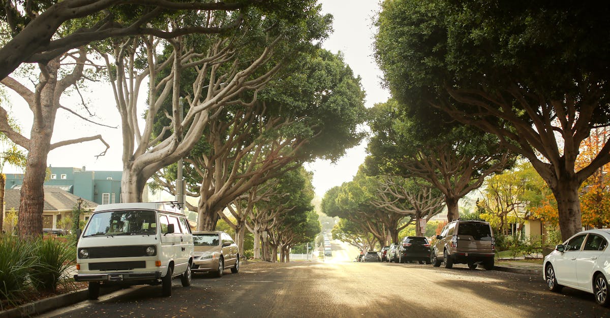 découvrez comment les quartiers durables transforment nos villes en espaces écologiques, inclusifs et résilients, tout en favorisant un mode de vie sain et responsable. apprenez les principes d'aménagement durable et les initiatives innovantes pour un avenir meilleur.