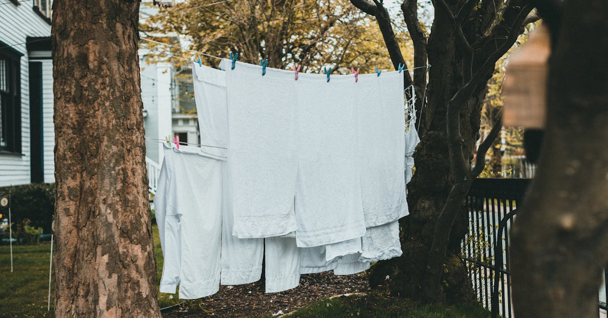 découvrez comment les quartiers durables transforment nos villes en espaces de vie écologiques et respectueux de l'environnement. explorez les initiatives innovantes, les pratiques durables et les communautés engagées pour un avenir plus vert.