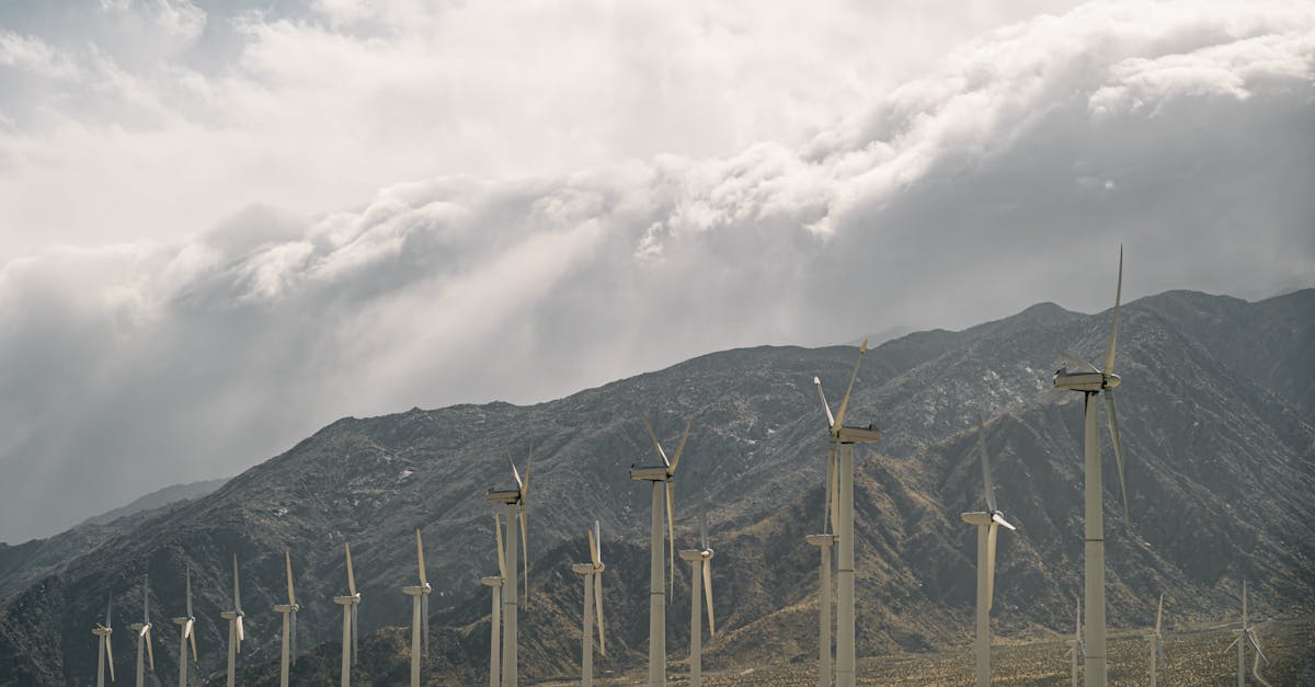 découvrez comment construire un avenir durable grâce à des pratiques eco-responsables, des innovations technologiques et une prise de conscience collective pour préserver notre planète pour les générations futures.