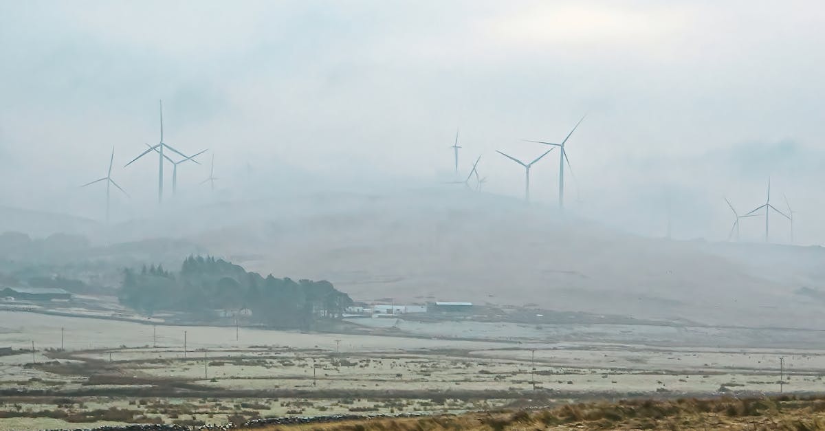 découvrez comment les fonds climatiques soutiennent les initiatives de lutte contre le changement climatique, favorisent la durabilité environnementale et financent des projets innovants pour un avenir plus vert.