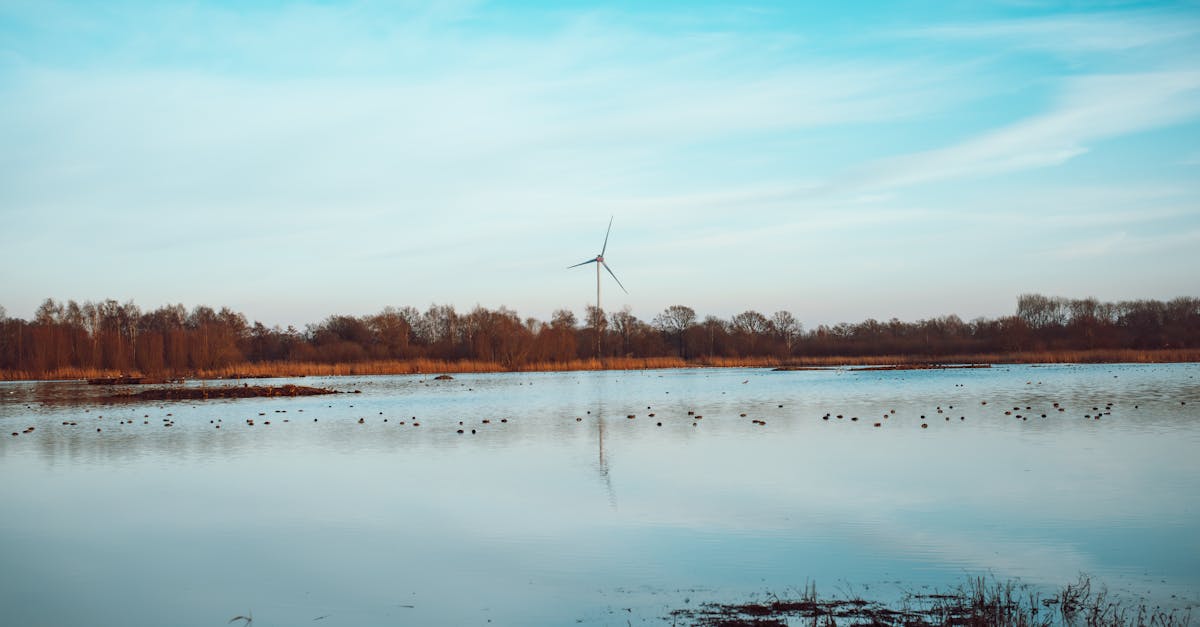 Bioénergies : avantages et inconvénients