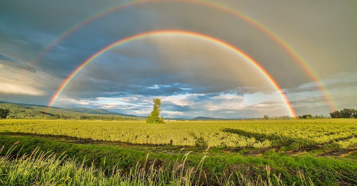 célébrez la journée de la terre en 2023 ! découvrez des initiatives écologiques, des conseils pour un mode de vie durable et des événements locaux pour protéger notre planète. engageons-nous ensemble pour un avenir plus vert.