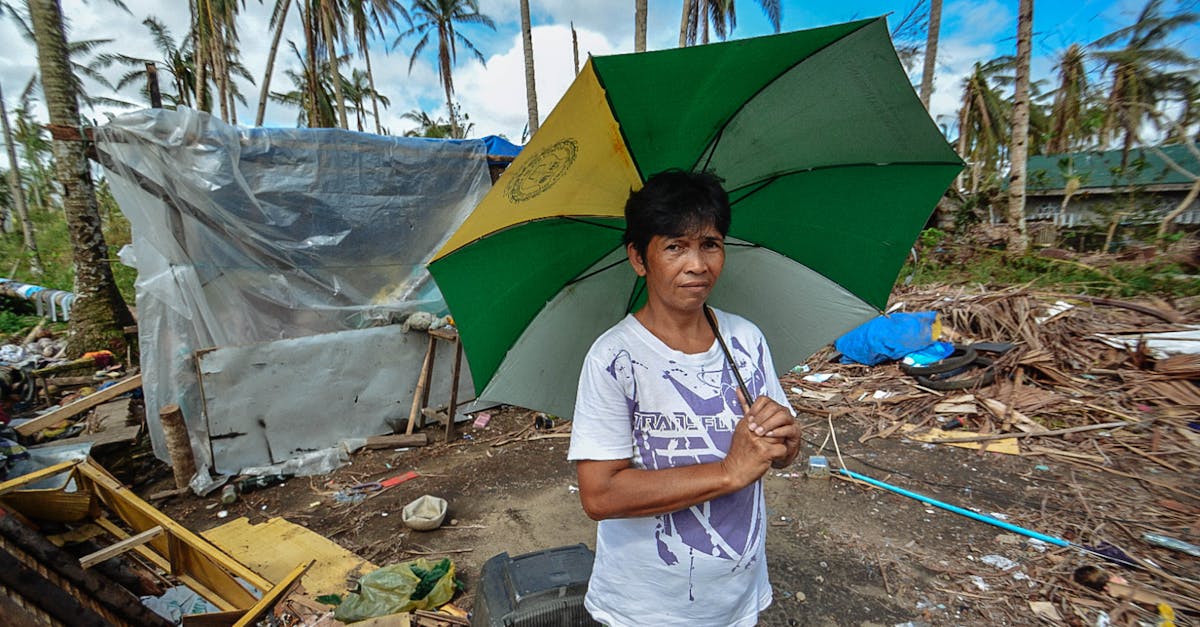 découvrez l'impact dévastateur des inondations, leurs causes principales et les mesures préventives pour protéger les communautés. explorez les solutions durables pour faire face aux enjeux climatiques.