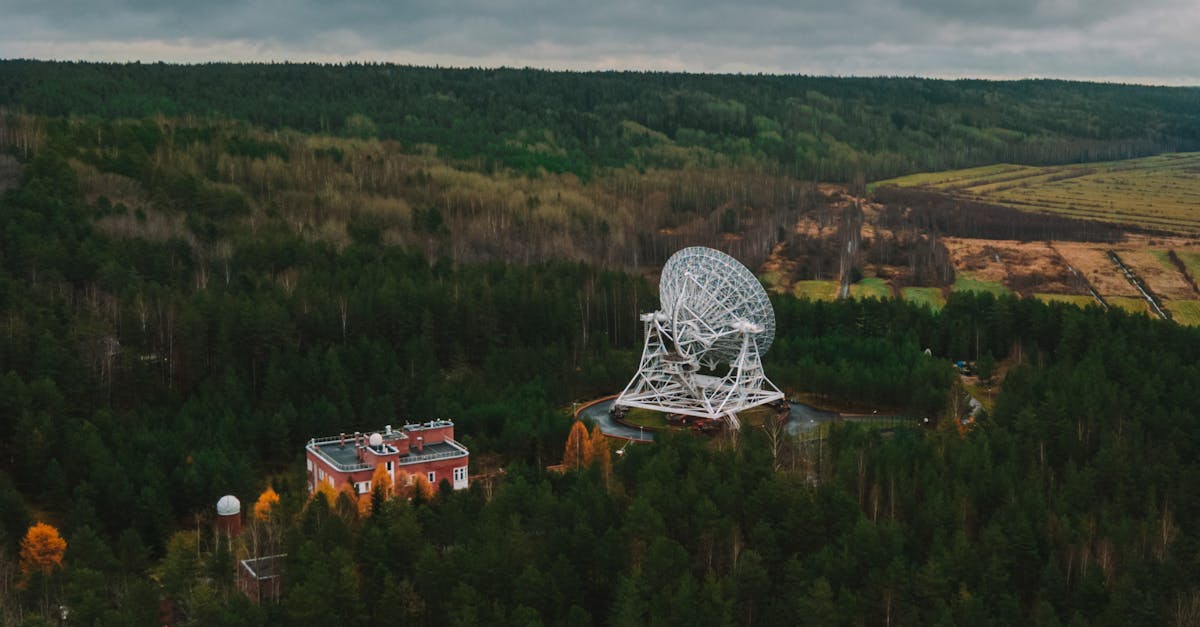 découvrez l'importance de la préservation de l'environnement, ses enjeux actuels et des solutions concrètes pour protéger notre planète pour les générations futures.