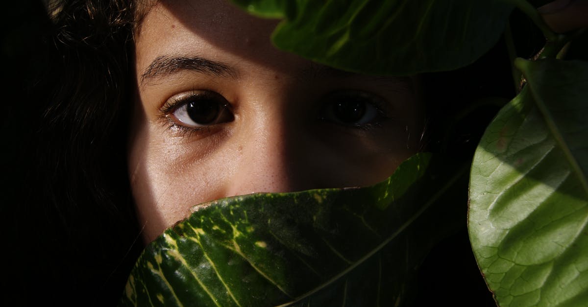 découvrez les tables rondes environnementales, un lieu d'échange et de collaboration où les acteurs de l'écologie se réunissent pour aborder les défis environnementaux, partager des idées novatrices et promouvoir des actions durables pour un avenir meilleur.