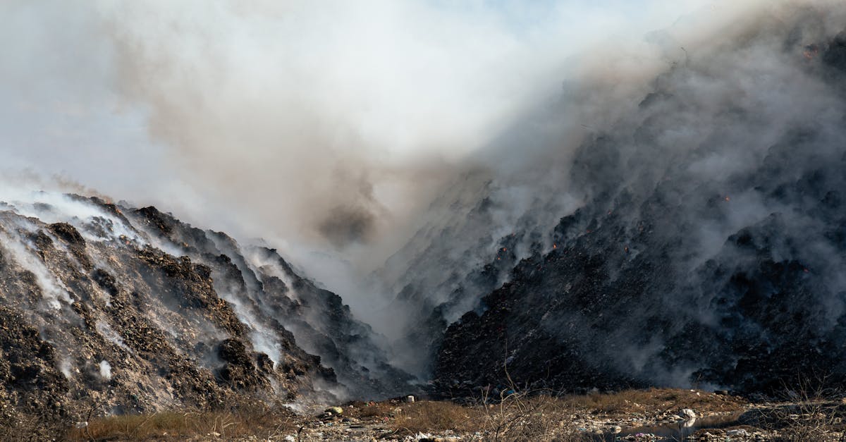 découvrez l'impact du changement climatique sur notre environnement et notre société. explorez les enjeux cruciaux, les solutions durables et les actions que nous pouvons entreprendre pour lutter contre les effets du dérèglement climatique.