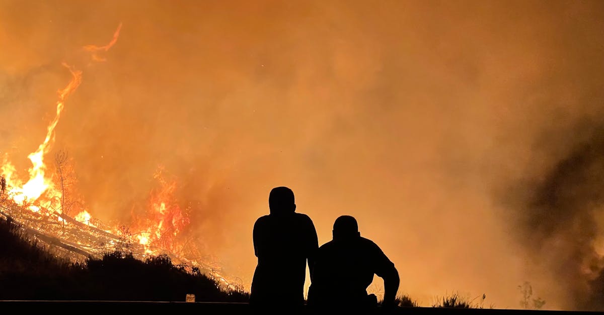 découvrez comment le changement climatique affecte l'emploi dans divers secteurs. analyse des défis et opportunités liés à la transition vers une économie durable, ainsi que l'impact sur les carrières et les compétences requises pour faire face aux enjeux environnementaux.